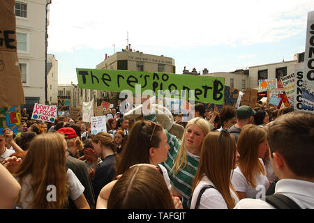 Brighton, UK. 24. Mai, 2019. Schule Kinder in Brighton Streik zu werben und die Forderung, die Regierung, etwas gegen die globale Erwärmung. Quelle: Rupert Rivett/Alamy leben Nachrichten Stockfoto