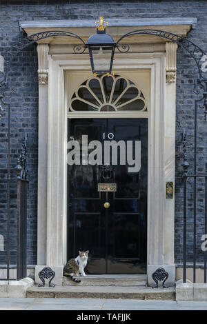 London, UK, UK. 24. Mai, 2019. Larry, der 10 Downing Street cat und Chief Mouser des Cabinet Office gesehen wird, auf die Schritte der Downing Street Nr.10, kurz bevor der britische Premierminister Theresa May kündigt den Termin für ihre Resignation als Konservativer Parteichef. Credit: Dinendra Haria/SOPA Images/ZUMA Draht/Alamy leben Nachrichten Stockfoto