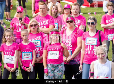 Brentwood Essex 25 Mai 2019 Krebs UK Rennen für das Leben bei Weald Country Park, Brentwood Essex Credit Ian Davidson/Alamy leben Nachrichten Stockfoto