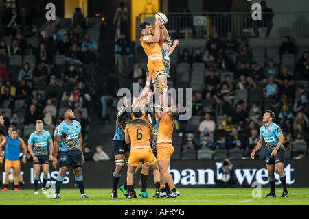 Sydney, Australien. 25 Mai, 2019. Line out während des Super Rugby-spiel zwischen Waratahs und Jaguares an Bankwest Stadion, Sydney, Australien, am 25. Mai 2019. Foto von Peter Dovgan. Nur die redaktionelle Nutzung, eine Lizenz für die gewerbliche Nutzung erforderlich. Keine Verwendung in Wetten, Spiele oder einer einzelnen Verein/Liga/player Publikationen. Credit: UK Sport Pics Ltd/Alamy leben Nachrichten Stockfoto