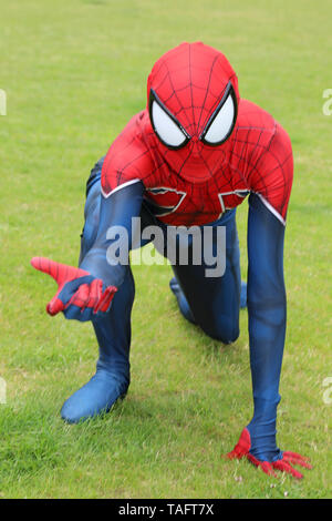 London, Großbritannien. 25. Mai 2019. Spider-Man am MCM London Comic Con an Excel in London. Quelle: Paul Brown/Alamy leben Nachrichten Stockfoto