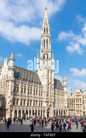 Brüssel Rathaus Brüssel Hôtel de Ville de Bruxelles Brussels Grand Place Brüssel Bruxelles Belgien Eu Europa Stockfoto