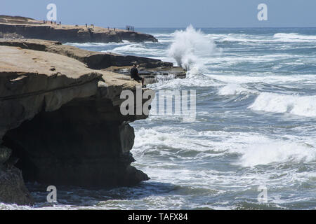 Ich schießen diese Bilder in San Diego Ca auf einer Feder am Nachmittag einen der beliebtesten Strände in Südkalifornien sein ein Ort sehen müssen. Stockfoto