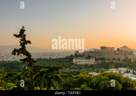 Akropolis von Athen mit dem Parthenon Tempel während der Sunrise, Athen, Griechenland Stockfoto