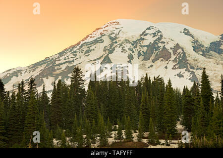 Mount Rainier Gipfel und das Paradies im Mount Rainier National Park, Washington State, USA Stockfoto