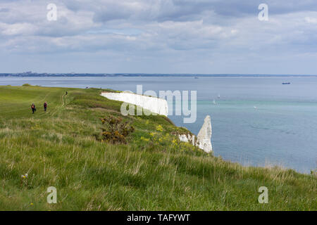 Blick von den Klippen bei Handfast, Studland Bay, Leute, Wandern, Isle of Purbeck, Jurassic Coast, Dorset, England, Großbritannien Stockfoto