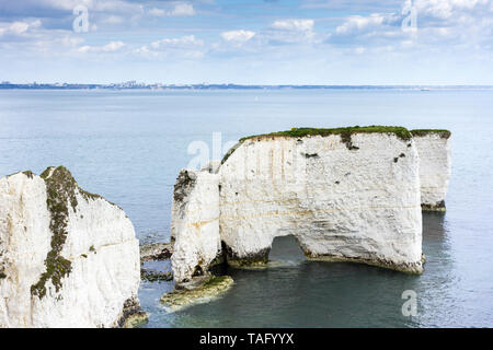 Blick auf Old Harry Rocks an Handfast, Studland Bay, Isle of Purbeck, Jurassic Coast, Studland, Dorset, Großbritannien Stockfoto