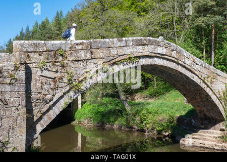 Kreuzung einer frühen (1619) post-mittelalterlichen Pack - Pferd Brücke im Mai 2019, Eskdale, North York Moors, Yorkshire, Großbritannien Stockfoto