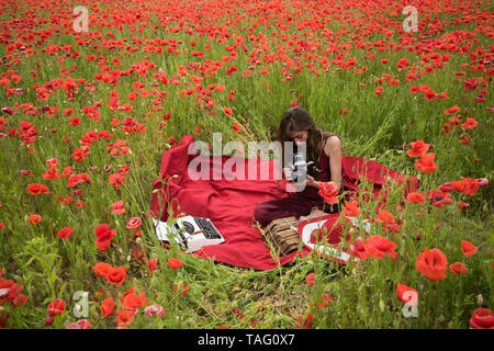 Poppy, Erinnerung oder Anzac Day. Drogen, Betäubungsmittel, Opium, Frau mit Schreibmaschine, Kamera, Buch. Frau Schreiber in poppy flower Feld. Schlafmohn, agile b Stockfoto