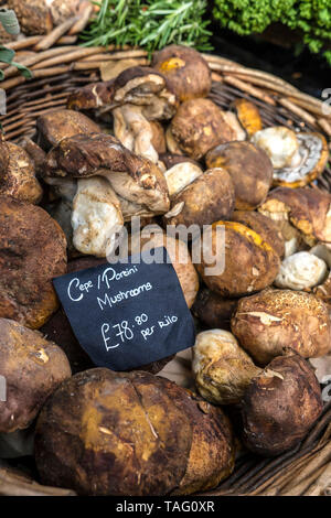 Steinpilze/Ceps frische organische Pilze auf innere Display im rustikalen Korb bei £ 78.80 pr Kilo an den Spezialgebiet hochwertige Feinkost in Southwark Borough Market London UK Preis Stockfoto
