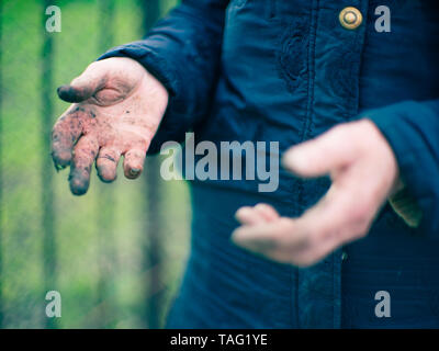 Die schmutzigen Hände nach der Gartenarbeit. Gärtner ohne Handschuhe. Stockfoto