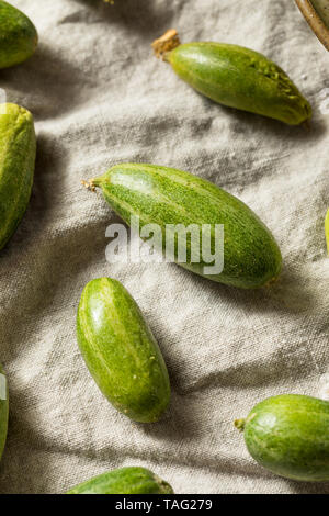 Raw Green Organic indischen Parval Squash bereit zu Kochen Stockfoto