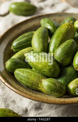 Raw Green Organic indischen Parval Squash bereit zu Kochen Stockfoto