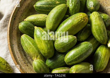 Raw Green Organic indischen Parval Squash bereit zu Kochen Stockfoto