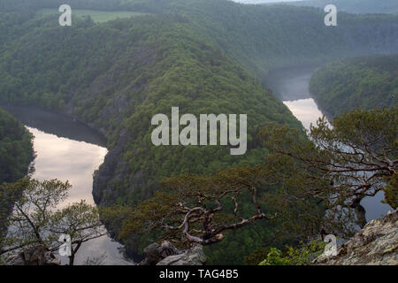 Czech Grand Canyon Horseshoe. Berühmte tschechische Lookout können in der Nähe von Prag. Mäander des Flusses Vltava in Südböhmen, Tschechische Republik Stockfoto