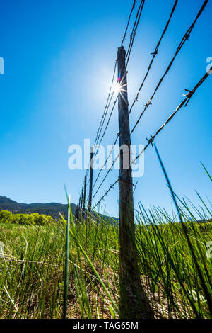 In der Nähe von Stacheldraht zaun & Holzzaun Beiträge gegen den klaren blauen Himmel; Ranch in Colorado, USA Stockfoto