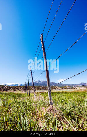 In der Nähe von Stacheldraht zaun & Holzzaun Beiträge gegen den klaren blauen Himmel; Ranch in Colorado, USA Stockfoto