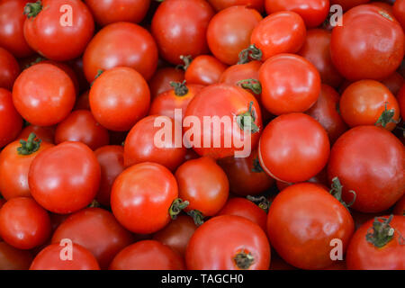 Frische Tomaten Hintergrund/Stapel der reife rote Tomaten Reben Textur in den Korb Ernte aus biologischem Gemüse farm Garten Stockfoto