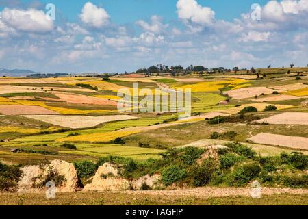 Felder im zentralen Hochland von Myanmar zeigen ihre schönen Farben, nordwestlich von Inle See, in der Nähe von Pindaya Stockfoto