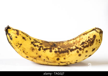 Eine ganze reife, gelbe Banane mit schwarzen Flecken und Prellungen auf der Schale. Isoliert Foto in Weiß. Stockfoto