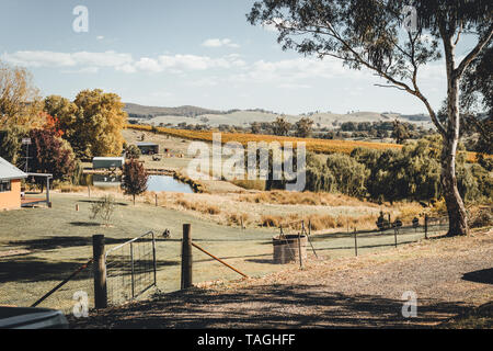 Malerische Landschaft bei Courabyra australische Weine, Tumbarumba NSW Stockfoto