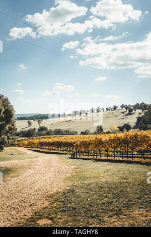 Malerische Landschaft bei Courabyra australische Weine, Tumbarumba NSW Stockfoto