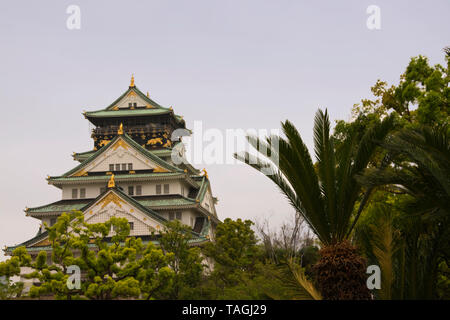 Asien, Japan, Insel Honshu, Präfektur Osaka (大阪府, Ōsaka-fu), Osaka, Osaka Castle (16. Jahrhundert) Stockfoto