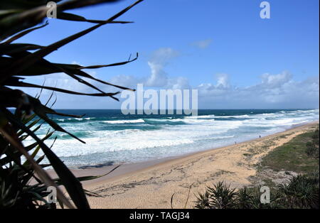 Schönes Wetter am Strand entlang Buddina Pacific Boulevard (Sunshine Coast, Queensland, Australien). Buddina Strand von Punkt Cartwright Lookout. Stockfoto