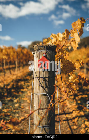 Weinberg zaunpfosten an Courabyra Winery, Tumbarumba NSW Stockfoto