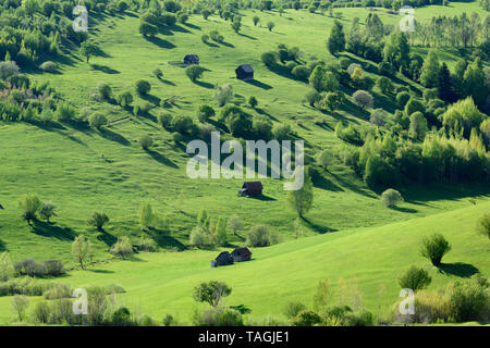 Idyllische, grüne Wiesen, mit kleinen Häusern und Scheunen. Frühling sonnige Wiese. Idyllische grüne Täler in Berggebieten. Stockfoto