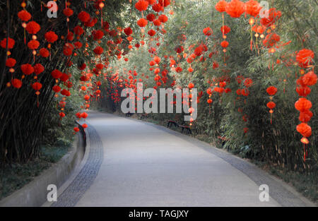 Ein Pfad durch Bambus in Chengdu Panda Finden (Chengdu Panda Forschungs- und Aufzuchtstation) in Sichuan, China. Chengdu, Bambus, rote Laternen. Stockfoto