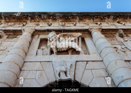 Steinernen Löwen die gate keeper in der dalmatinischen Stadt Zadar, Land Gate bauen in der 1543Rd nach den Entwürfen des venezianischen Architekten Michele Sanmichel Stockfoto