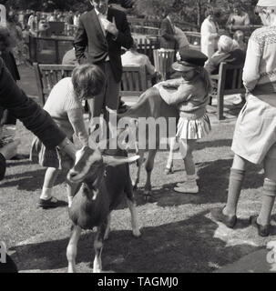 1960, historische, junge Kinder mischen mit Ziegen am kleinen städtischen Bauernhof am Crystal Palace Park im Süden von London, England, UK. Ein Besuch auf einem Bauernhof und Tiere aus nächster Nähe zu sehen ist eine große Weise, Kinder für neue Erfahrungen, die im Gebäude ihr Vertrauen und ihre körperlichen Fähigkeiten aids vorstellen. Stockfoto