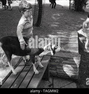 1960, historische, ein Junge tappen eine Ziege auf einer kleinen Farm in Crystal Palace Park im Süden von London, England, UK. Ein Besuch auf einem Bauernhof und Tiere aus nächster Nähe zu sehen ist eine große Weise, Kinder für neue Erfahrungen, die im Gebäude ihr Vertrauen und ihre körperlichen Fähigkeiten hilft einzuführen. Stockfoto