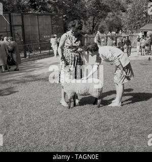 1960, historische, zwei Mütter mit einem kleinen Schaf, an der Städtischen kleine Farm in Crystal Palace Park im Süden von London, England, UK. Stockfoto