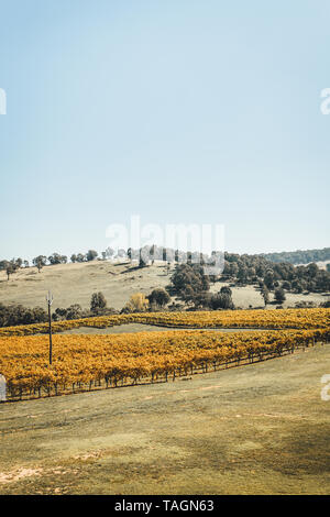 Malerische Landschaft bei Courabyra australische Weine, Tumbarumba NSW Stockfoto