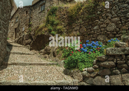 Alte Steinmauer und Häuser in kopfsteingepflasterten Gasse am Hang mit den Schritten an Alvoco da Serra. Ein niedliches Dorf auf einem steilen Tal im Osten Portugal festhalten. Stockfoto