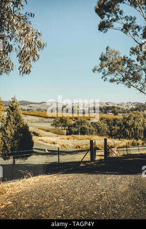 Malerische Landschaft bei Courabyra australische Weine, Tumbarumba NSW Stockfoto