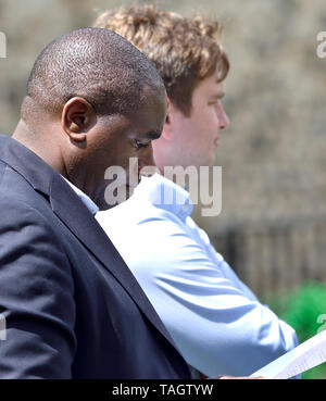 David Lammy MP (Arbeit: Tottenham) auf College Green, Westminster, 24. Mai 2019.... Stockfoto