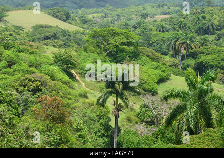 Felder und die bewaldeten Hänge in Guisa Gemeinde (Provinz Granma, Kuba), in der Nähe des Pico de la Bayamesa Nationalpark, südlichen Kuba Stockfoto