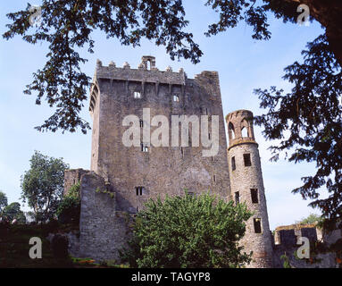 Schloss halten und Tower, Blarney Castle, Blarney, County Cork, Republik von Irland Stockfoto