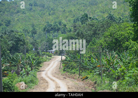 Felder und die bewaldeten Hänge in Guisa Gemeinde (Provinz Granma, Kuba), in der Nähe des Pico de la Bayamesa Nationalpark, südlichen Kuba Stockfoto