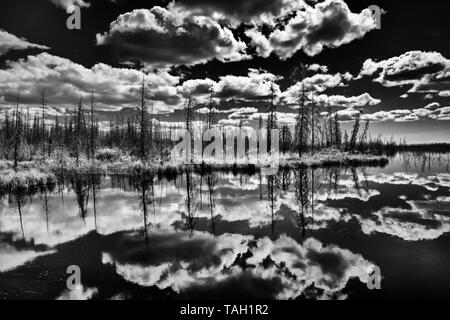 Wolken und borealen Wäldern in Feuchtgebieten in der Nähe von Yellowknife Nordwest-territorien Kanada wider Stockfoto