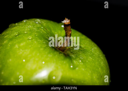 Knackig frische grüne Granny Smith Apfel mit Tau Tropfen Wasser glitzert auf der Haut mit einem schwarzen Hintergrund Stockfoto