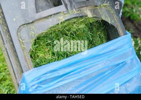 In der Nähe von frisch gemähtem Gras in einen Rasenmäher. Stockfoto