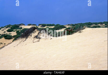 Dünen von Piscinas im Süden von Sardinien (von Fujichrome Astia gescannt) Stockfoto