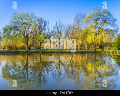 Reflexion der Bäume im Teich. Stockfoto
