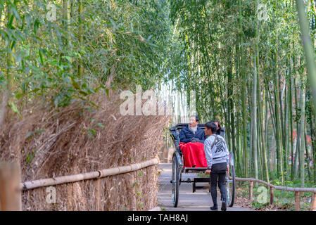 Zog Rikscha reiten Touristen durch einen Bambuswald Pfad in Arashiyama, Kyoto, Japan Stockfoto