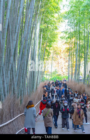 Touristen zu Fuß durch Arashiyama Bamboo Grove Zen Garten, einem natürlichen Wald von Bambus in Arashiyama, Kyoto, Japan Stockfoto