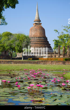 Rosa Lilien in einem Teich vor dem Hintergrund eines alten Stupa von einem buddhistischen Tempel. Sukhothai Historical Park, Thailand Stockfoto